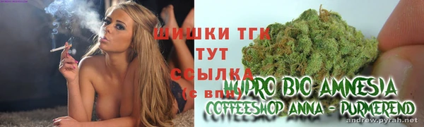 молекула духа Магас