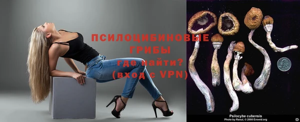 молекула духа Магас