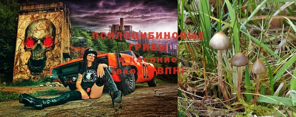 шишки Алагир