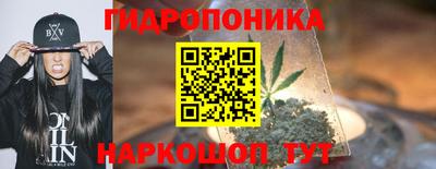 спиды Кимры