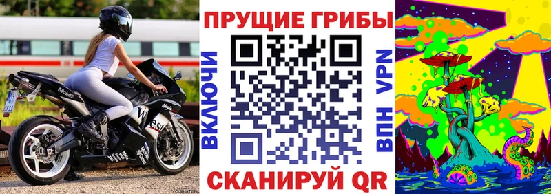 купить  цена  Усть-Джегута  Псилоцибиновые грибы Cubensis 