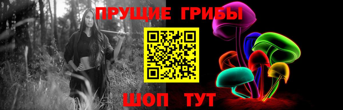 где купить наркотик  Галлюциногенные грибы MAGIC MUSHROOMS  Вход с VPN  Усть-Джегута 